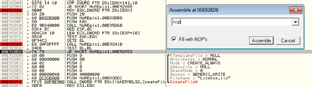 NOP Instruction