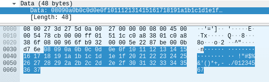 ICMP Payload Analysis